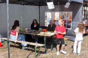 Bild 16